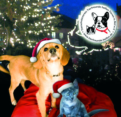 Die Tierschützer und Vierbeiner aus Röhrsdorf wünschen allen Tierfreunden ein frohes und besinnliches Weihnachtsfest sowie einen guten Rutsch ins neue Jahr Foto: Tierschutzverein „Tierfreunde helfen Tieren in Not e. V.“